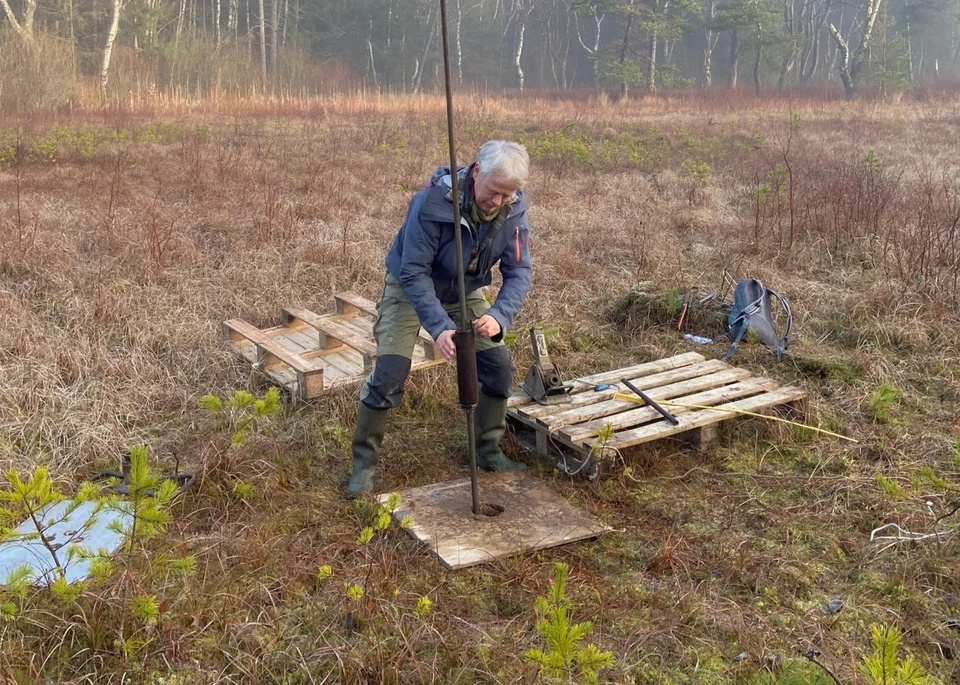 Kernetagning ved Sortemose i Allerød - Allerød-tiden