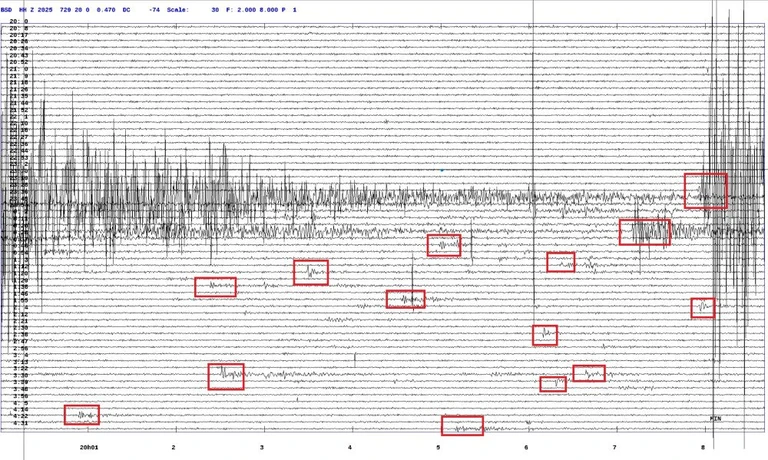 Seismografi