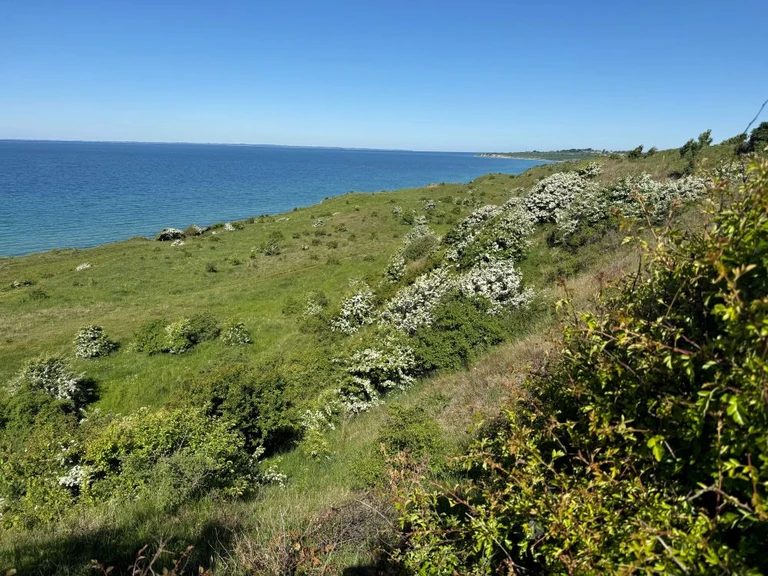 En klint med græs strækker sig ud langs højre side af billedet. Man kan ikke se bunden af klinten. Bagved er der et blåt hav. Det er solskin og dag.