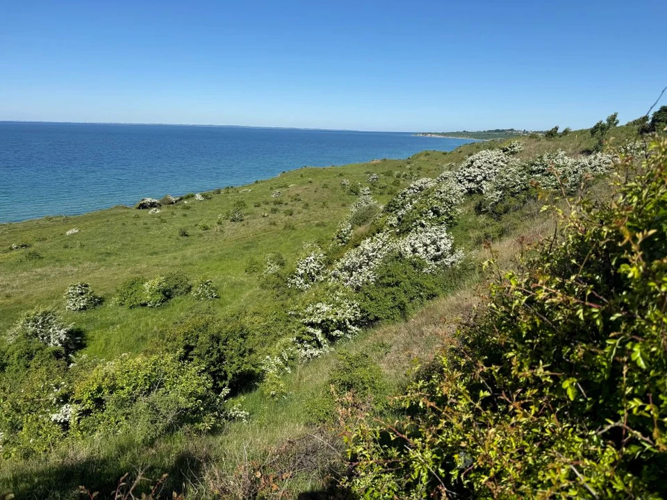 En klint med græs strækker sig ud langs højre side af billedet. Man kan ikke se bunden af klinten. Bagved er der et blåt hav. Det er solskin og dag.