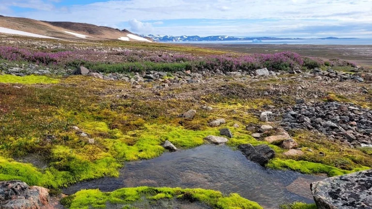 Projekt til greenland science week