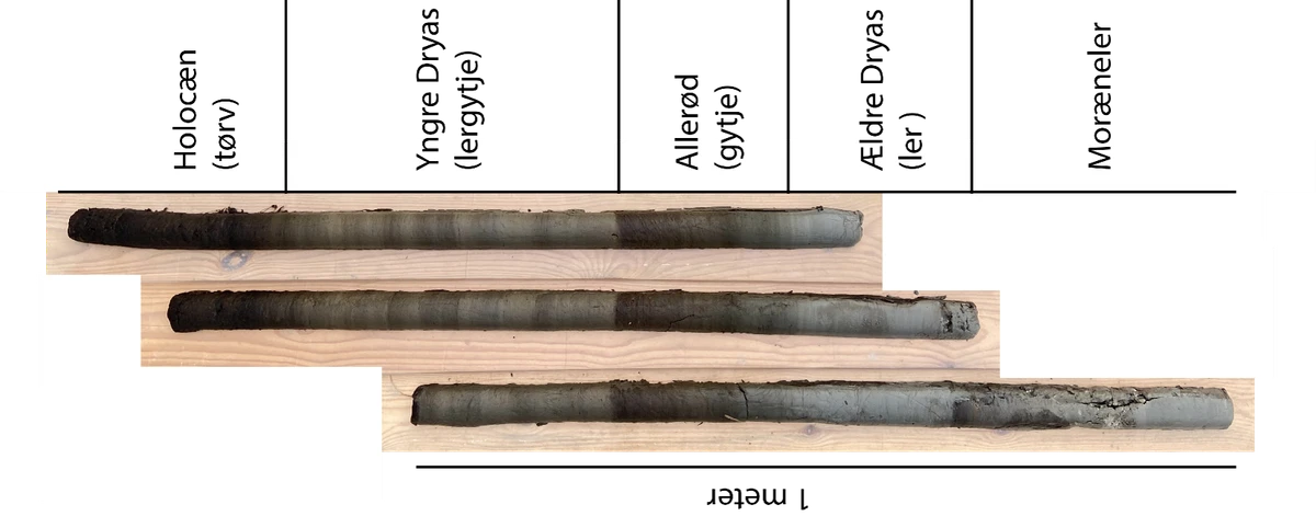 Sedimentkerner fundet ved Sortemosen