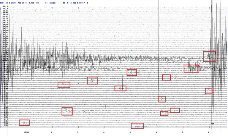 Seismografi