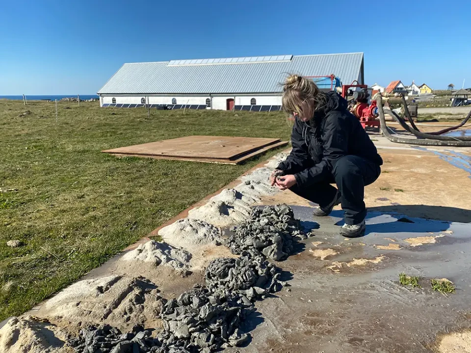 Rækker af klatter med mudder ligger på beton. Et menneske knæler ved en bunke mudder for enden. I baggrunden ses en stor bygning.
