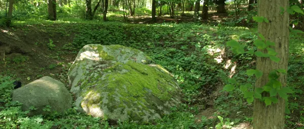 Ferslevstenen til top billede