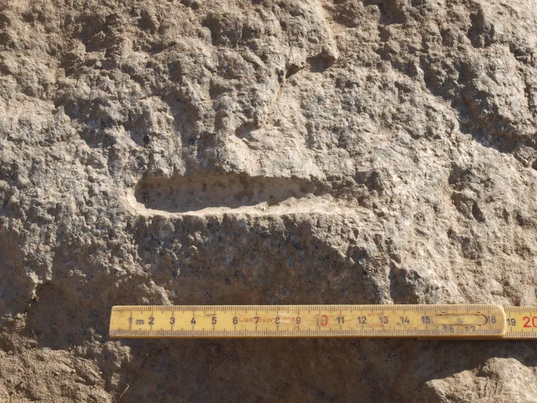 Kulturspor i Marienborgstenen