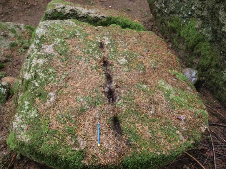 Det Halve Franskbrød tættere på