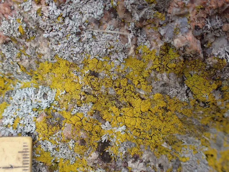 Kæmpesten Værslev tæt på