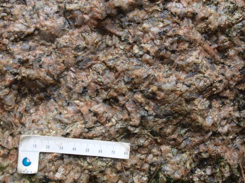 Det Halve Franskbrød tæt på