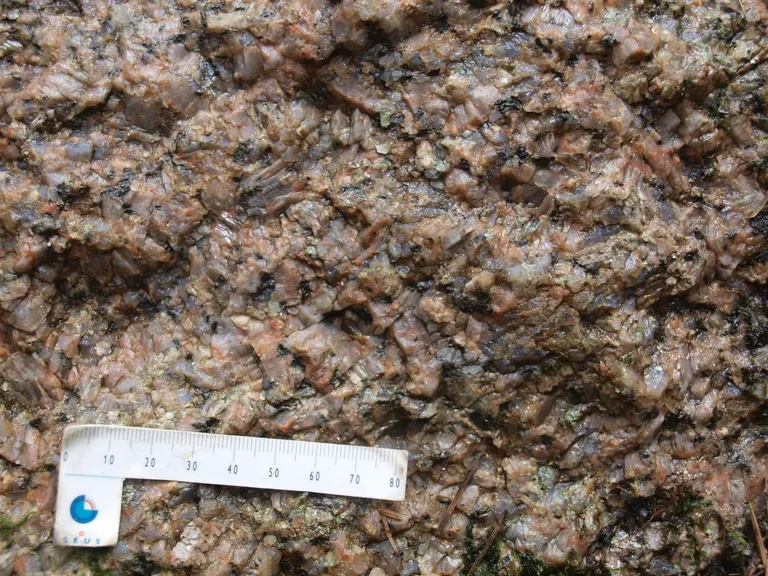 Det Halve Franskbrød tæt på