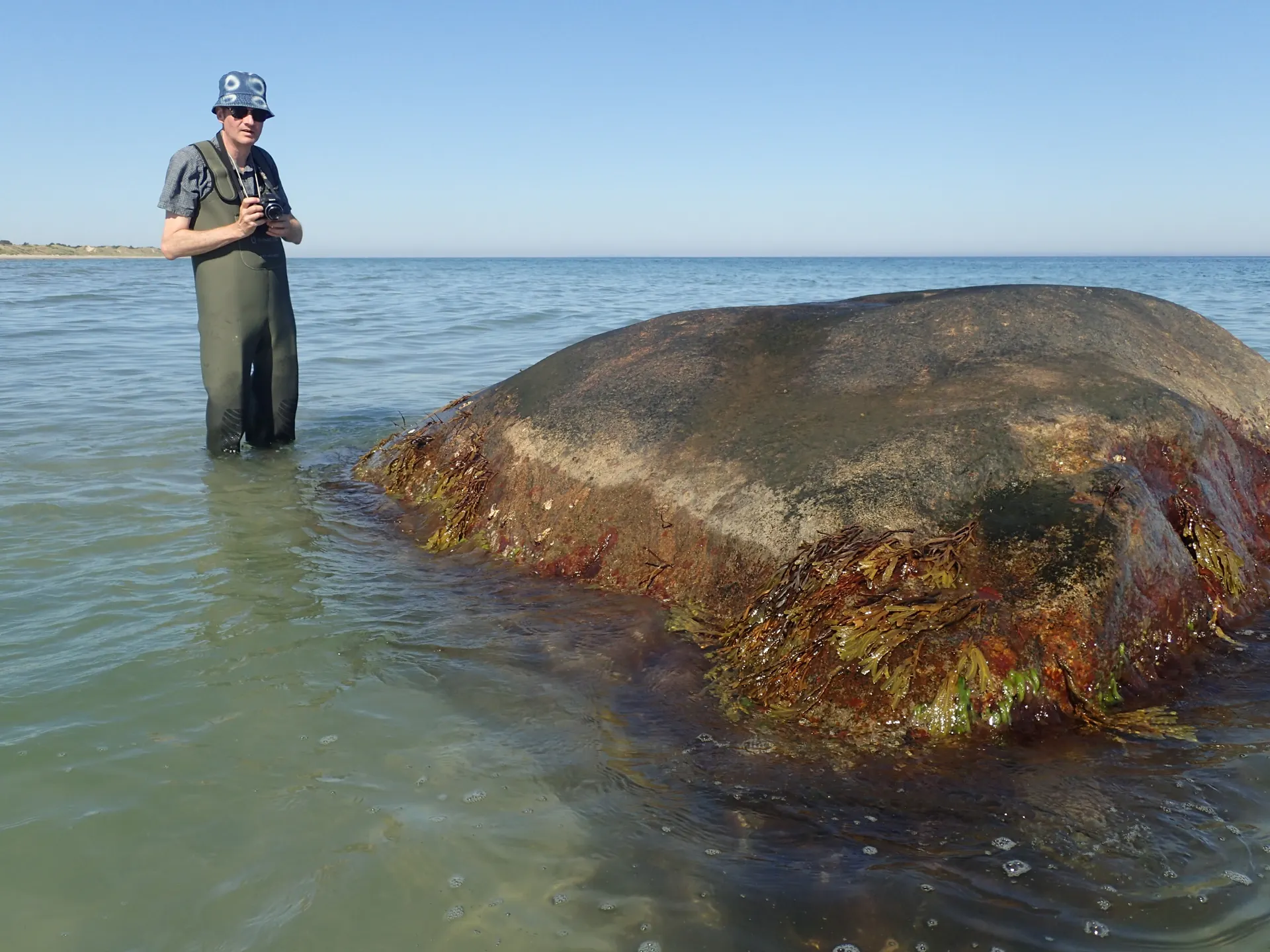 Banstenen og Thomas Kokfelt