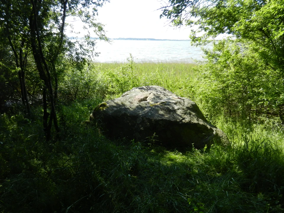 Store Blis og udsigt over vandet