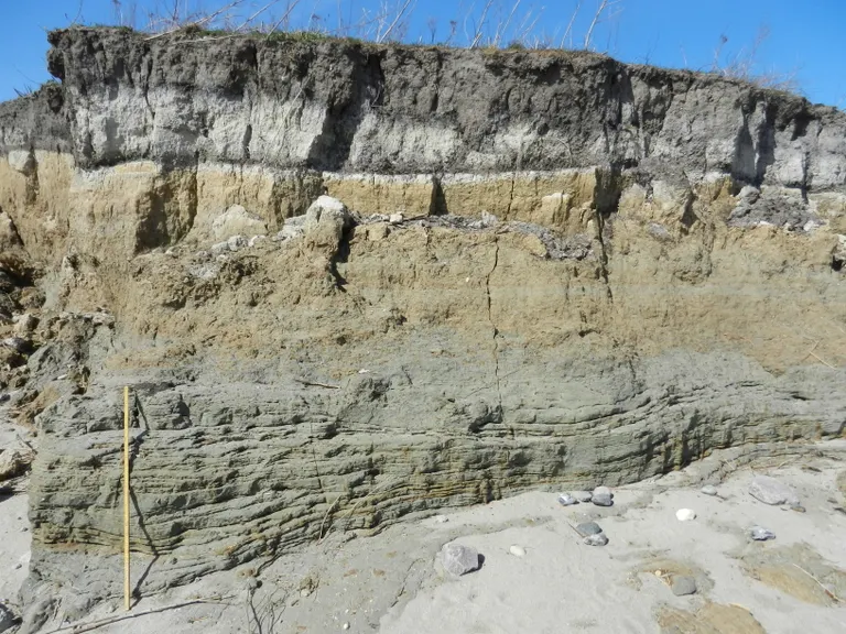 Klintvæggen ved Gedser Odde Stenen