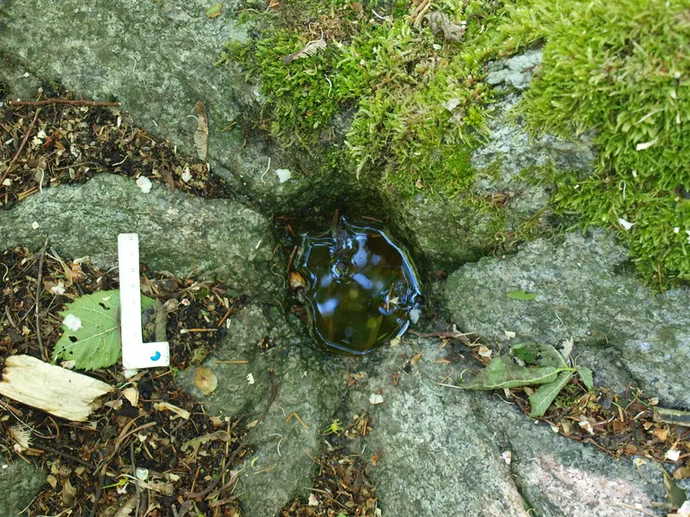 Fotografi af hullet i Ferslevstenen