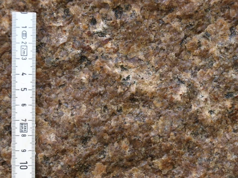 Skovlide-stenen tæt på