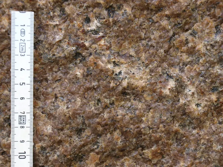 Skovlide-stenen tæt på