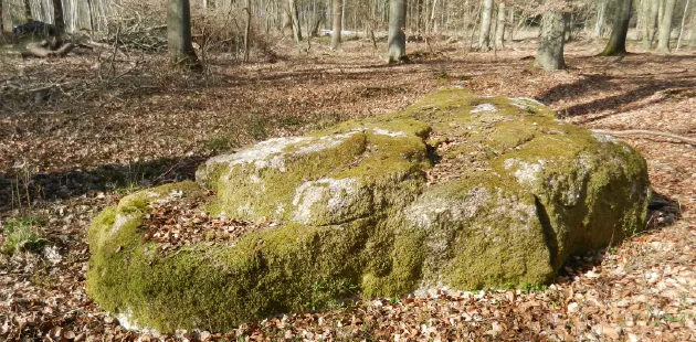 Søllestedgårdstenen