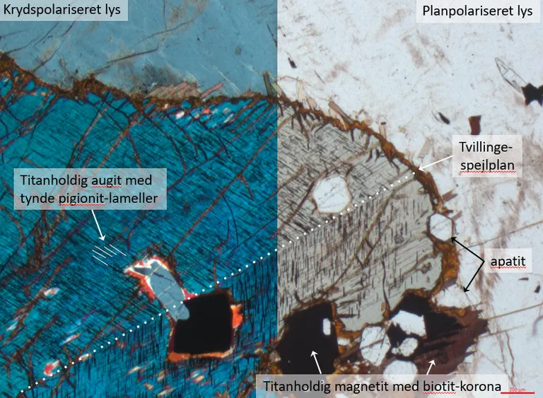 Krydspolariseret og planpolariseret