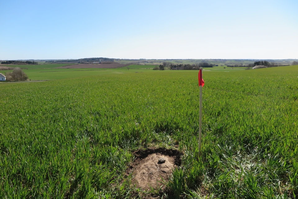 Hundborgstenen udner jorden