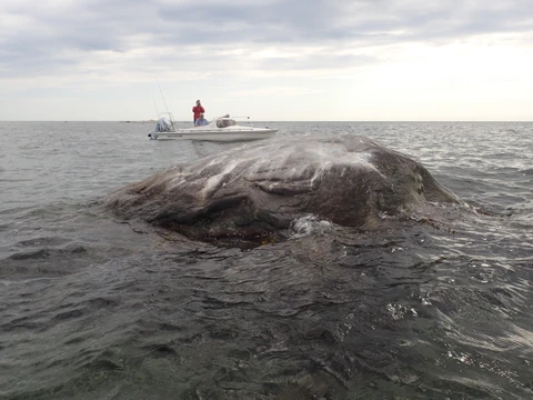 Bredestenen tættere på i vandet