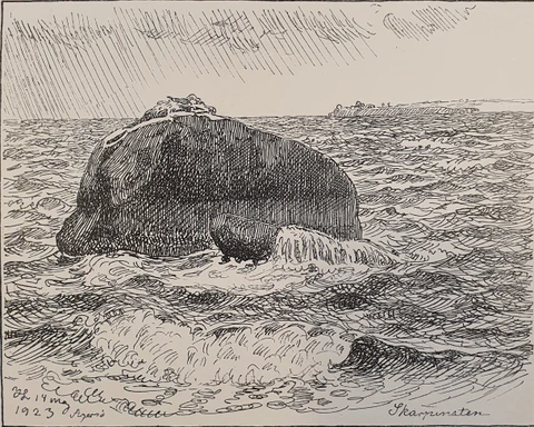 Illustration fra 1923 