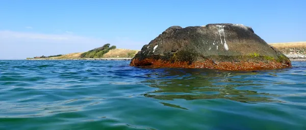 Skarpensten i vandet