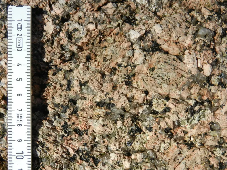 Søllestedgårdstenen tæt på