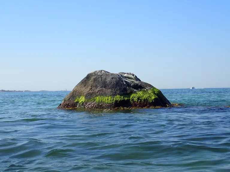 Skarpensten i vandet