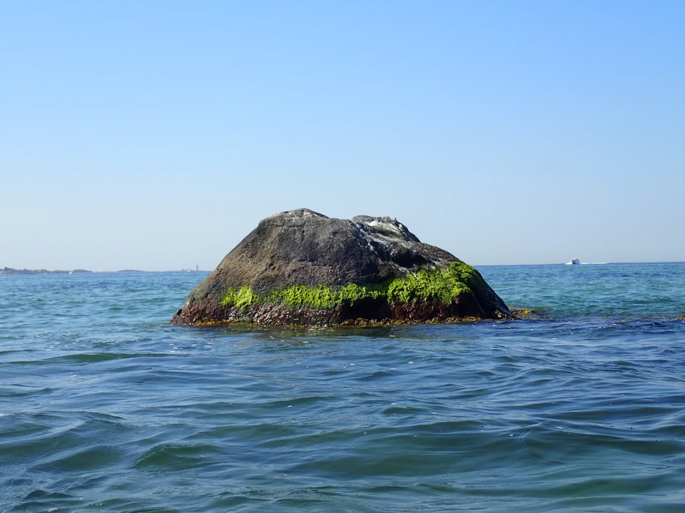 Skarpensten i vandet