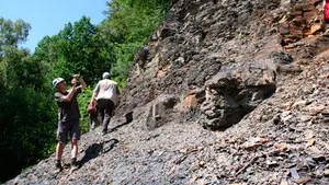 Shale section in southern Sweden.