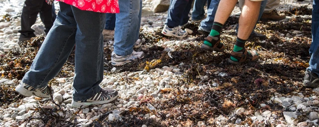 Picture of people walking