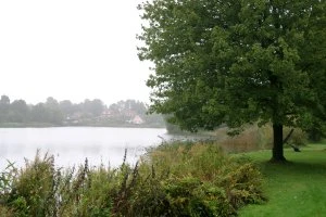 Det er her ved Birkerød Sø, du kan følge geologernes arbejde.