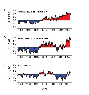 Variationer i den globale overflade-havtemperatur
