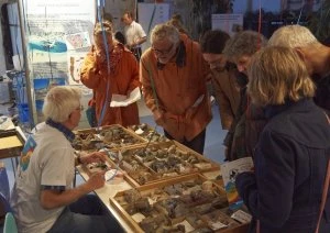 Få et smukt mineralstykke eller sten med hjem