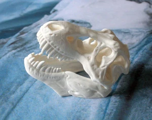 Grav fossilerne fri af jorden