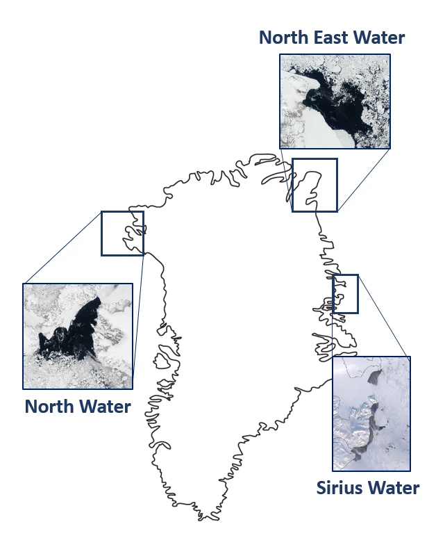 Polyneas in greenland Marie Curie Rebecca Jackson