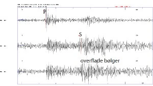 Seismogram