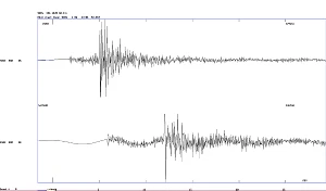 Seismogram over jordskælvet