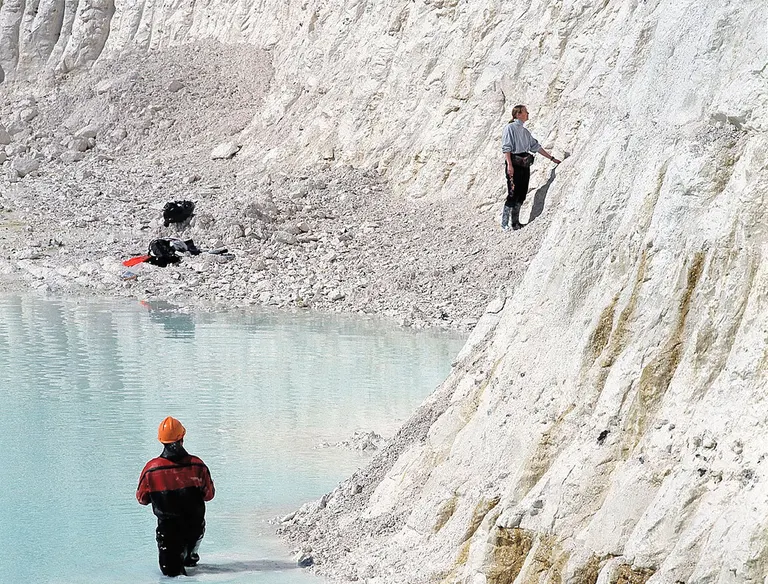 Kridtbruddet på Stevns