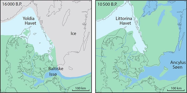 Eksempel på palæogeografisk kort der viser geografien for omkring 16000 år siden. Gletsjeren dækkede Skåne og fortsatte syd på ud i den nuværende Østersø, hvor Gletsjerranden lå vest for Bornholm og den Baltiske Issø var opdæmmet foran isranden. Issøen blev dræneret til Kattegat. Ancylus Søen nåede sit maksimum for omkring 10200 år siden, hvor kun en snæver flod drænede gennem Storebælt til den sydlige del af Kattegat. Hvor floden strømmede ud i Kattegat forårsagede havniveaustigning (transgression) dannelse af en stor lagune med et estuarie, der delvist var afskærmet fra havet af sandede oddesystemer.