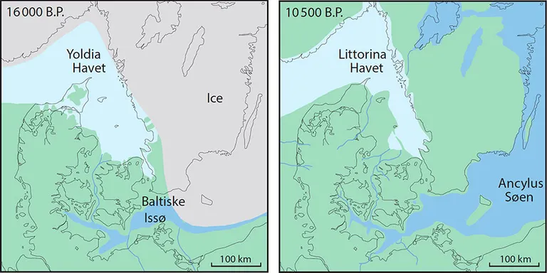 Eksempel på palæogeografisk kort der viser geografien for omkring 16000 år siden. Gletsjeren dækkede Skåne og fortsatte syd på ud i den nuværende Østersø, hvor Gletsjerranden lå vest for Bornholm og den Baltiske Issø var opdæmmet foran isranden. Issøen blev dræneret til Kattegat. Ancylus Søen nåede sit maksimum for omkring 10200 år siden, hvor kun en snæver flod drænede gennem Storebælt til den sydlige del af Kattegat. Hvor floden strømmede ud i Kattegat forårsagede havniveaustigning (transgression) dannelse af en stor lagune med et estuarie, der delvist var afskærmet fra havet af sandede oddesystemer.
