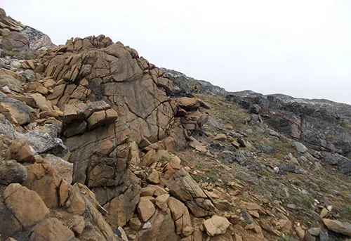 Ultramafisk bjergart