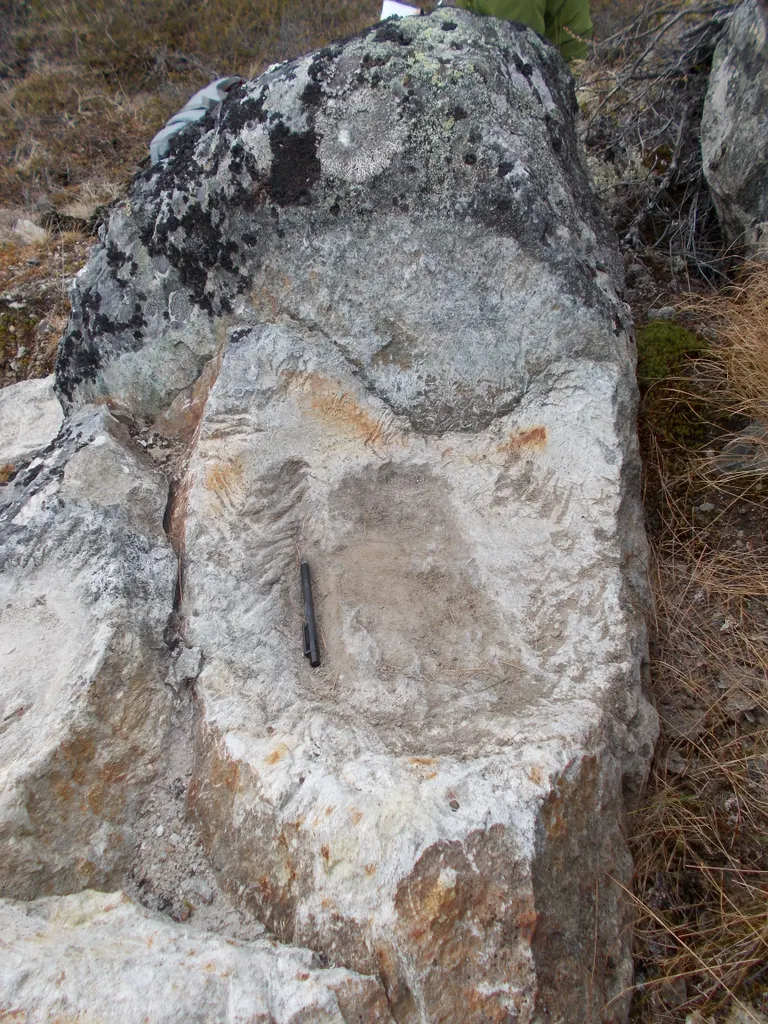 Aftryk af udtag til tranlampe eller gryde fra Thule-kulturen