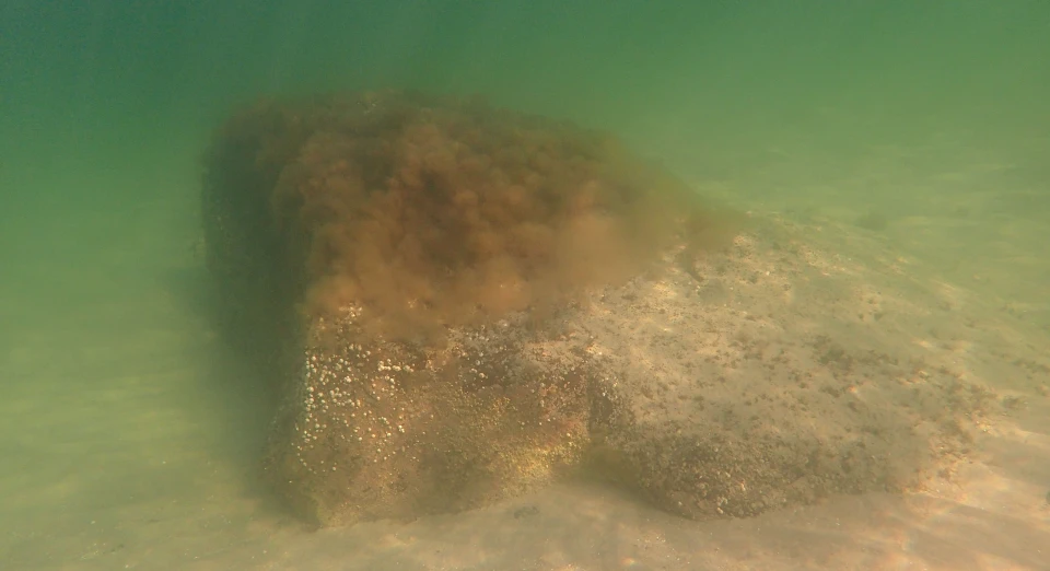 Ifølge sagnet skulle liget af den hellige Lene være kommet sejlende på en sten fra Sverige, hvor hun var blevet myrdet. I stenen skulle være mærker efter hår, lår, hænder og fødder som bevis. Bakken revnede, for at liget kunne føres igennem og kilderne sprang, hvor liget blev lagt et øjeblik. Deraf udsprang de naturforklarende sagn om St. Helens Sten, St. Helens Kilde og Kildeskåret.