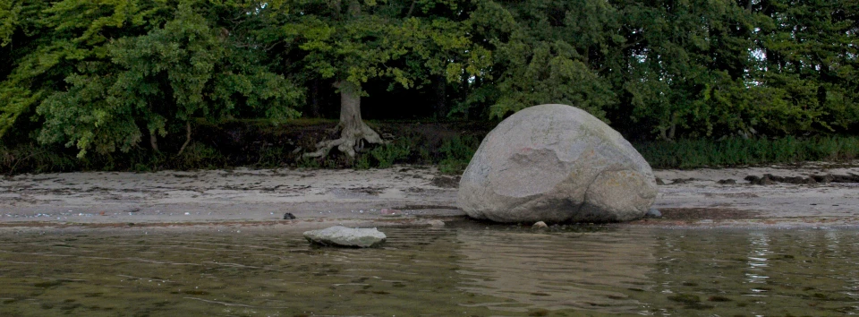 Musestenen har fået sit navn, fordi den ligner en mus - der dog kun har øre på den ene side og slet ingen hale