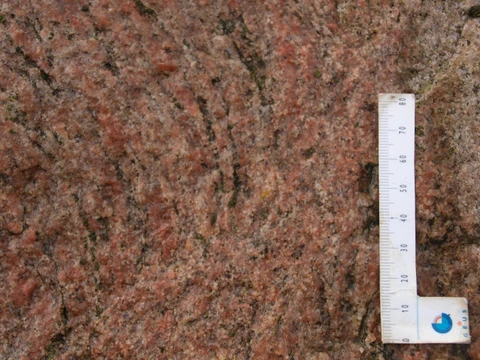 Skæringstenen er en lys granitisk gnejs