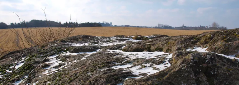 Fordybninger på Dyrestenen 