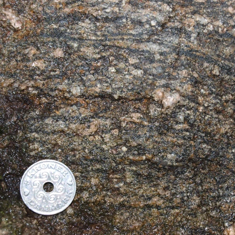 Myrestenen består af stribet og foldet gnejs