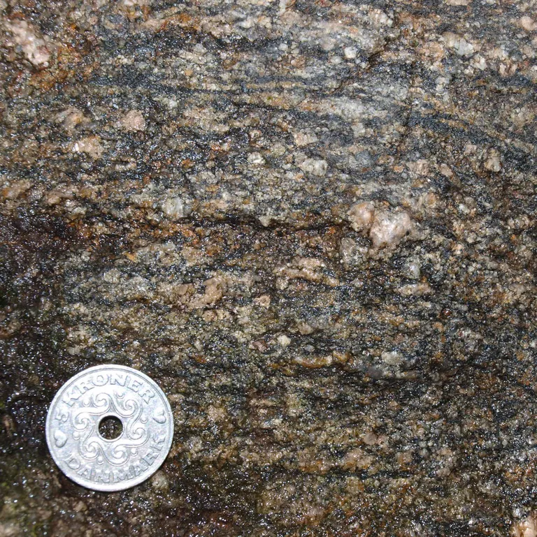 Myrestenen består af stribet og foldet gnejs