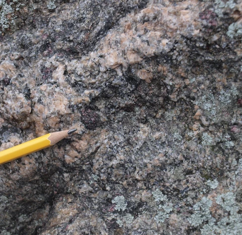 Odssten består af gnejs med ærtestore granater